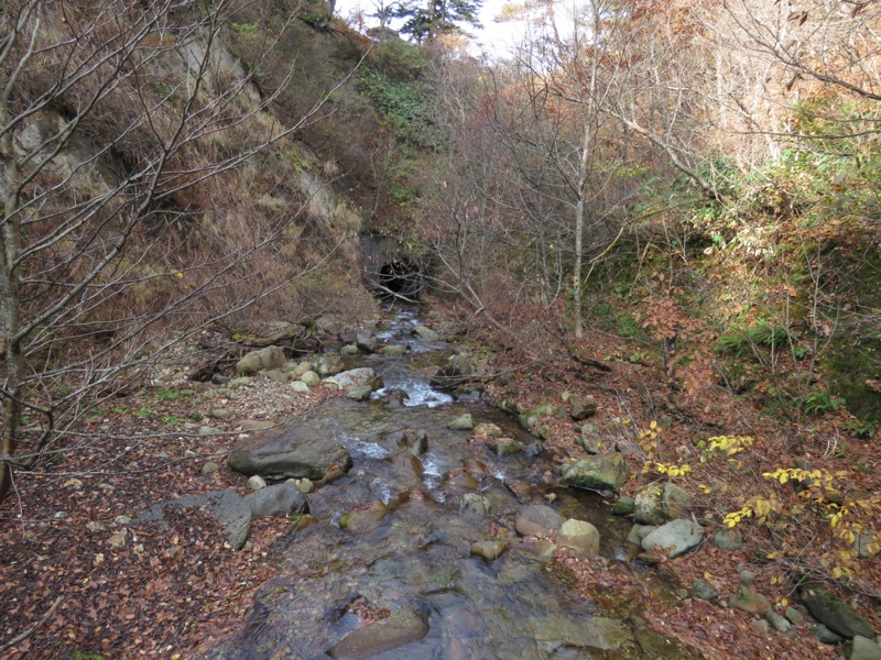 蔵王、面白山紅葉川、山寺