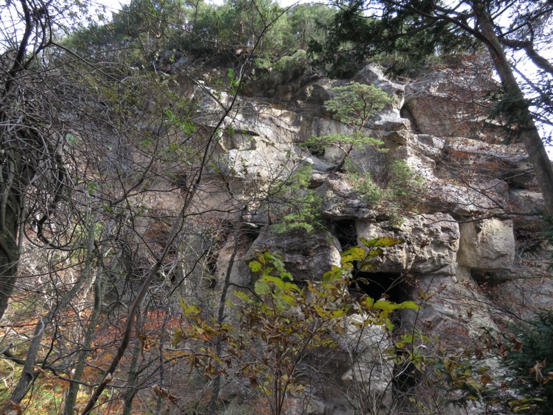 蔵王、面白山紅葉川、山寺