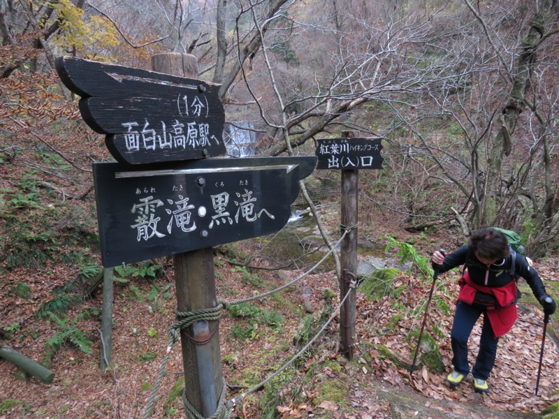 蔵王、面白山紅葉川、山寺