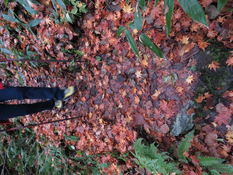 蔵王、面白山紅葉川、山寺