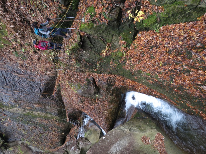 蔵王、面白山紅葉川、山寺