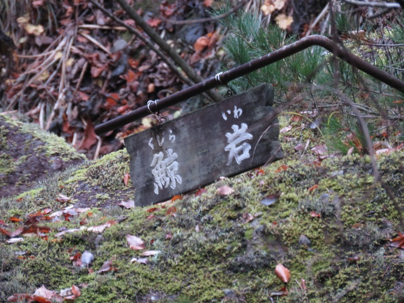 蔵王、面白山紅葉川、山寺