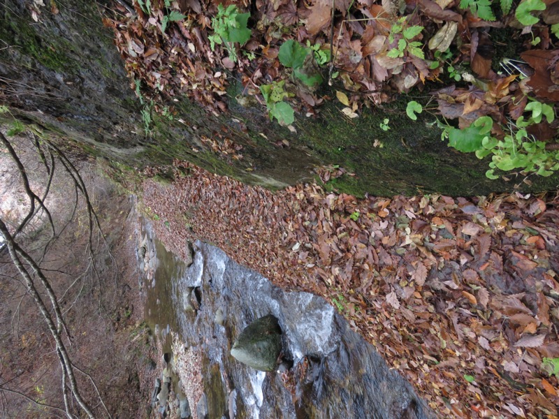 蔵王、面白山紅葉川、山寺