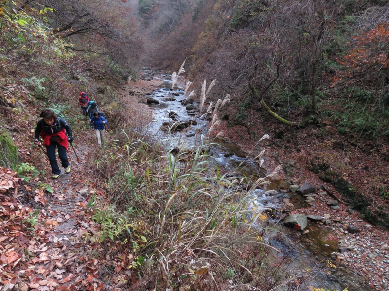 蔵王、面白山紅葉川、山寺