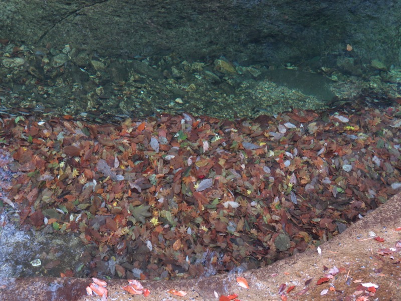 蔵王、面白山紅葉川、山寺