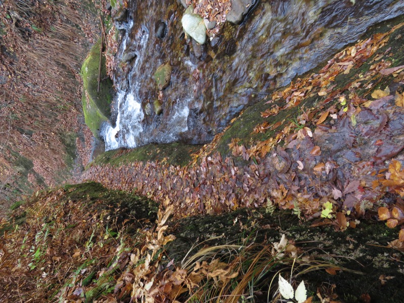 蔵王、面白山紅葉川、山寺