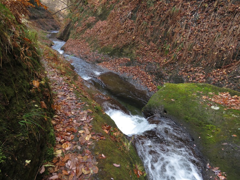 蔵王、面白山紅葉川、山寺