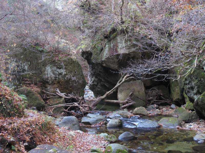 蔵王、面白山紅葉川、山寺