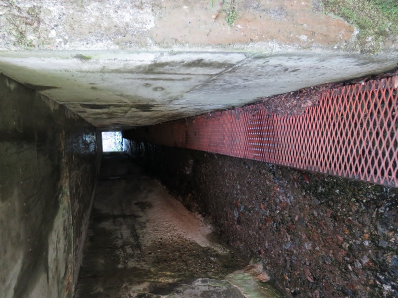 蔵王、面白山紅葉川、山寺