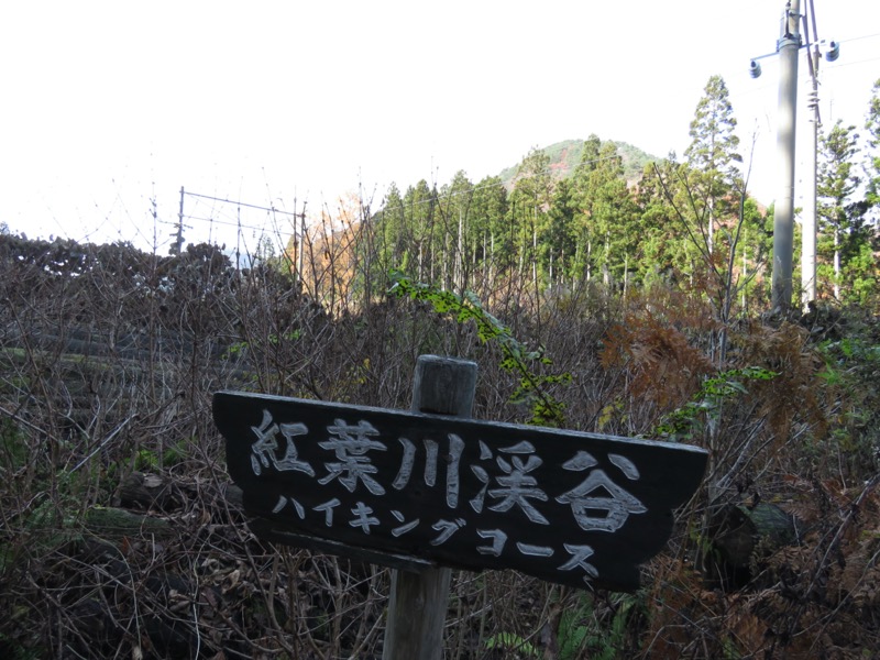 蔵王、面白山紅葉川、山寺