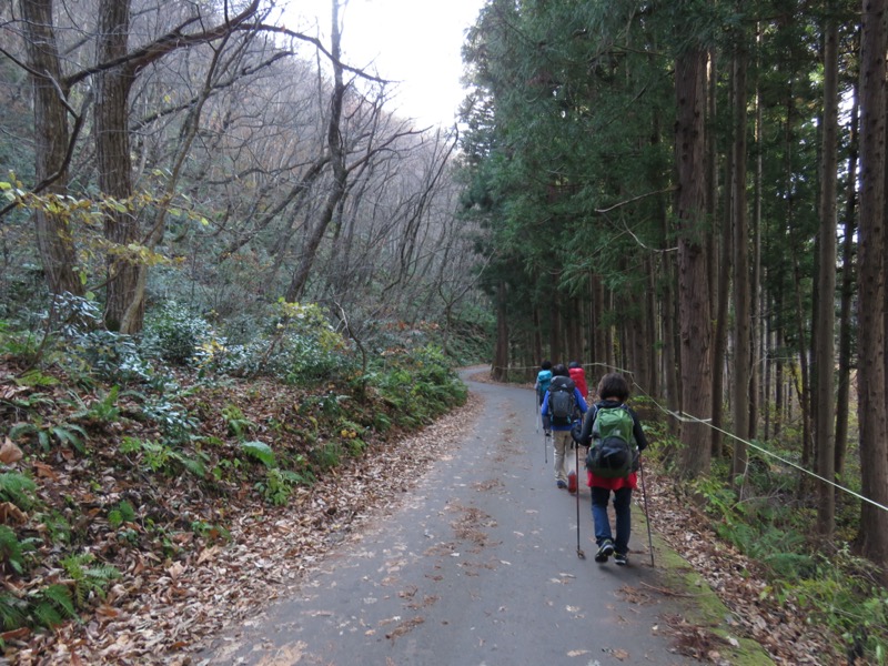 蔵王、面白山紅葉川、山寺