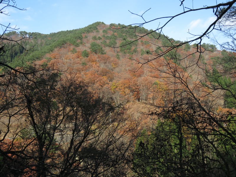 蔵王、面白山紅葉川、山寺