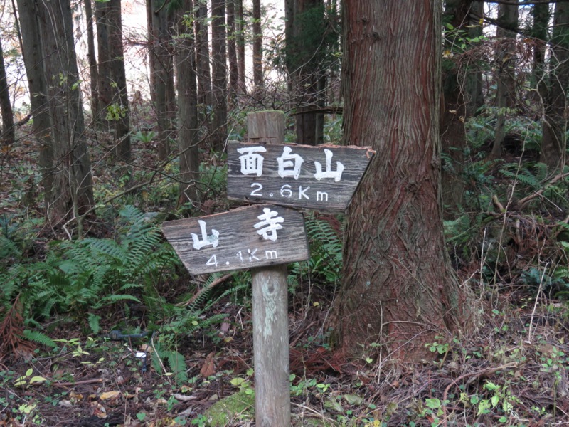 蔵王、面白山紅葉川、山寺