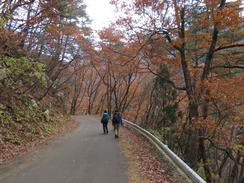 蔵王、面白山紅葉川、山寺