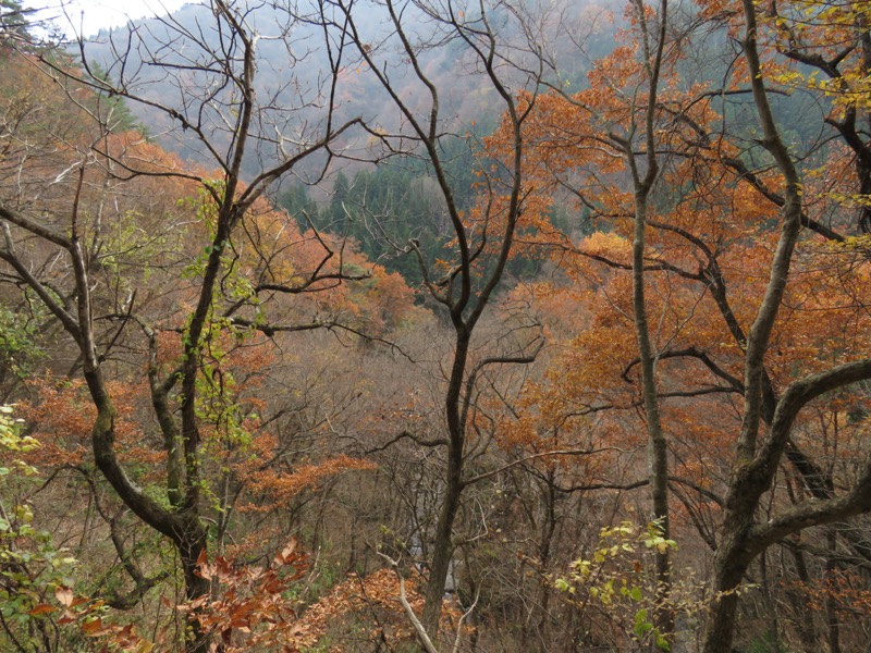 蔵王、面白山紅葉川、山寺