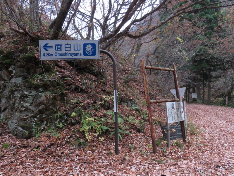 蔵王、面白山紅葉川、山寺