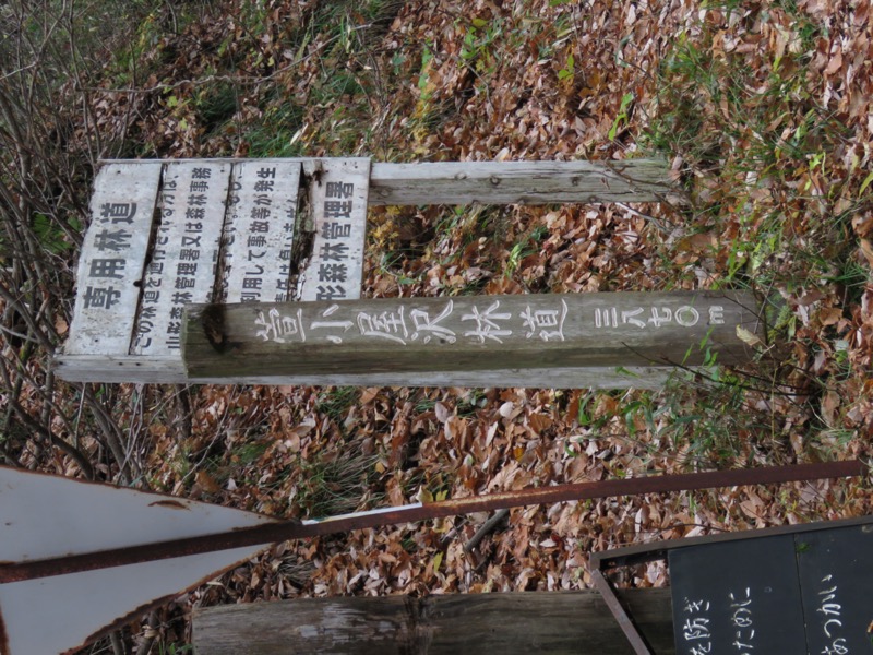 蔵王、面白山紅葉川、山寺