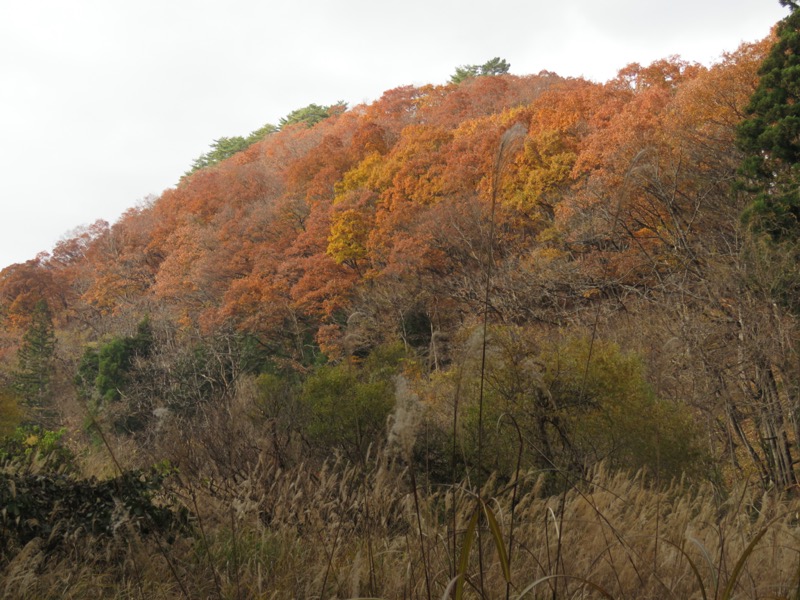 蔵王、面白山紅葉川、山寺