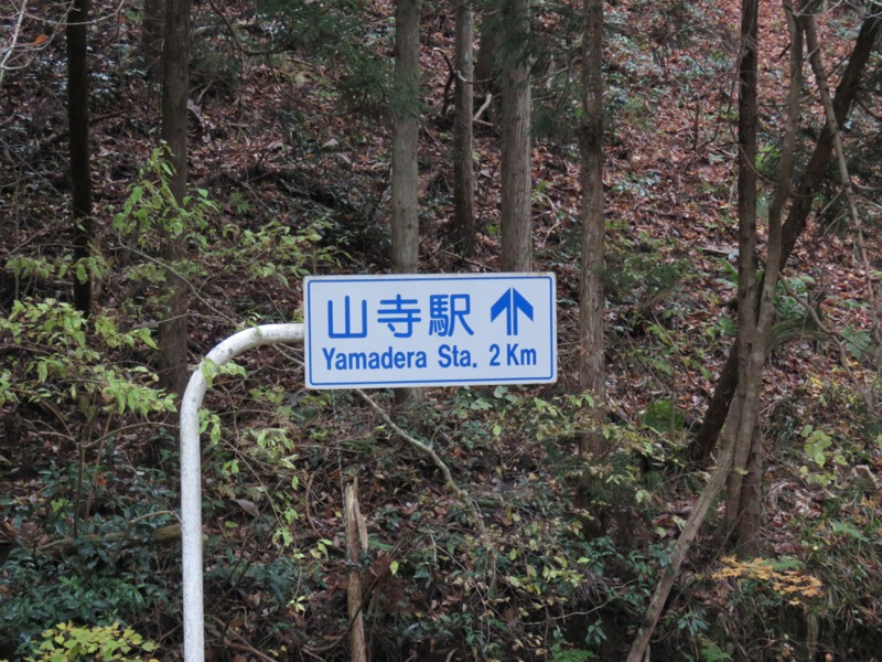 蔵王、面白山紅葉川、山寺