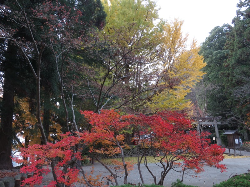 蔵王、面白山紅葉川、山寺