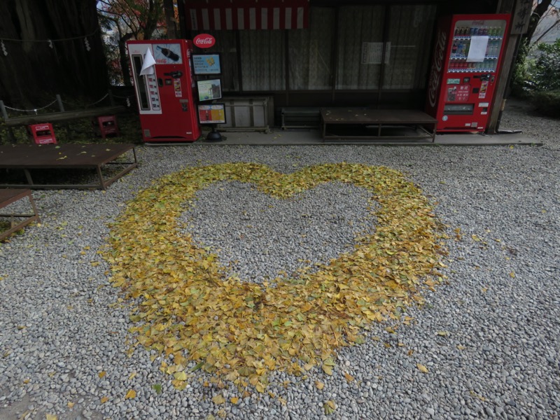 蔵王、面白山紅葉川、山寺