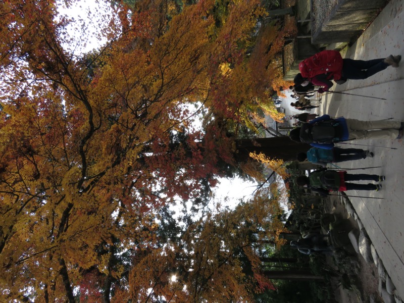 蔵王、面白山紅葉川、山寺