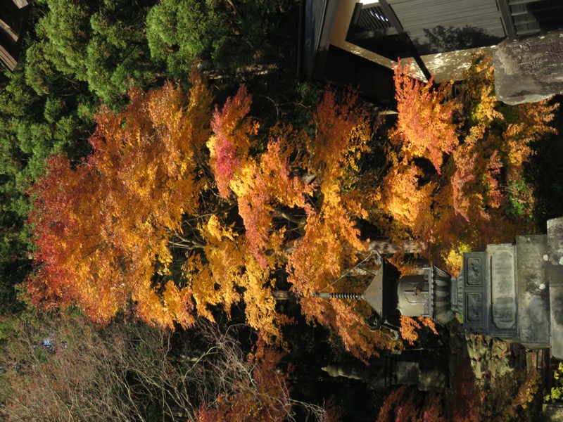 蔵王、面白山紅葉川、山寺