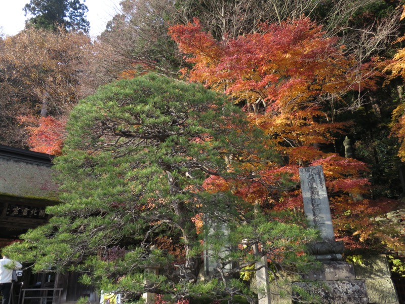 蔵王、面白山紅葉川、山寺