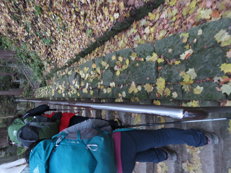 蔵王、面白山紅葉川、山寺