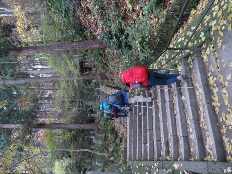 蔵王、面白山紅葉川、山寺