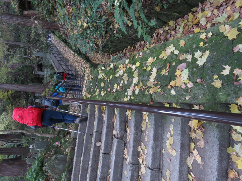 蔵王、面白山紅葉川、山寺