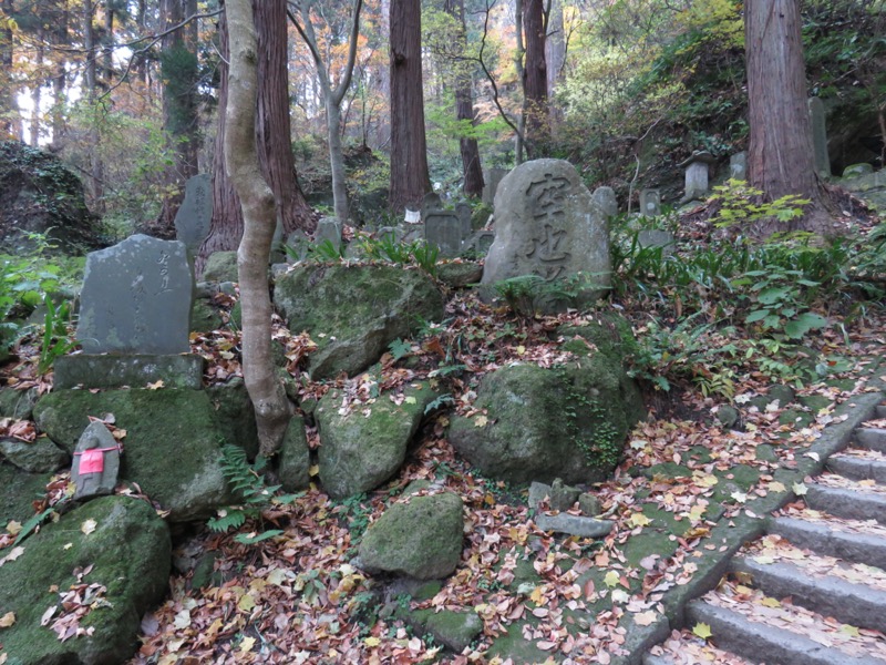 蔵王、面白山紅葉川、山寺