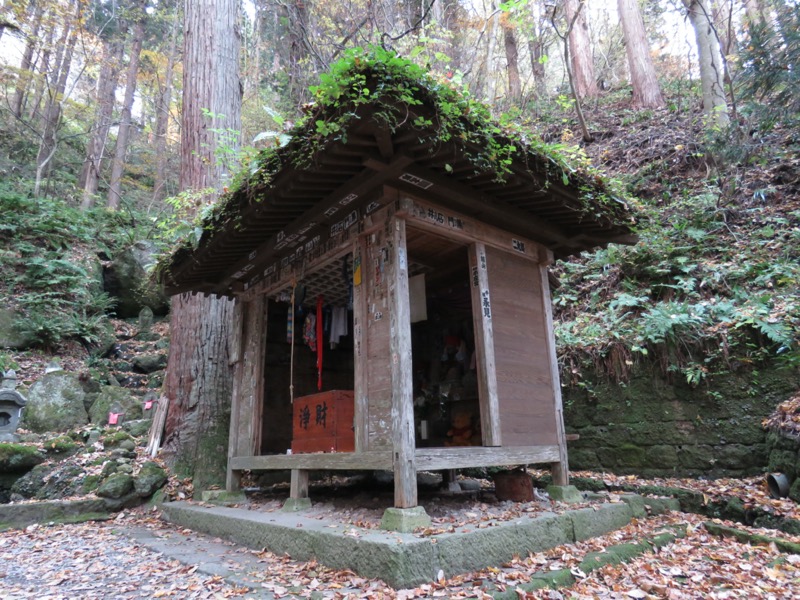 蔵王、面白山紅葉川、山寺