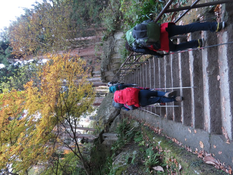 蔵王、面白山紅葉川、山寺