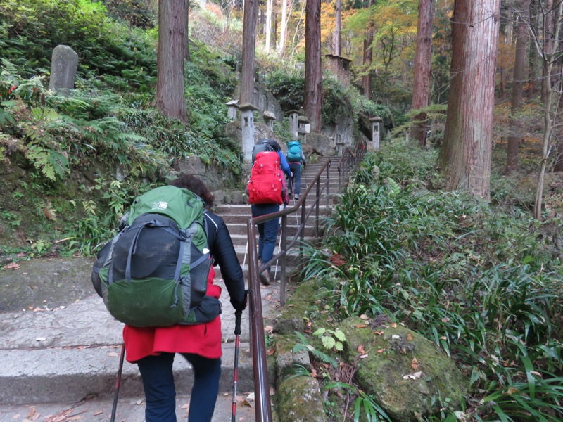 蔵王、面白山紅葉川、山寺