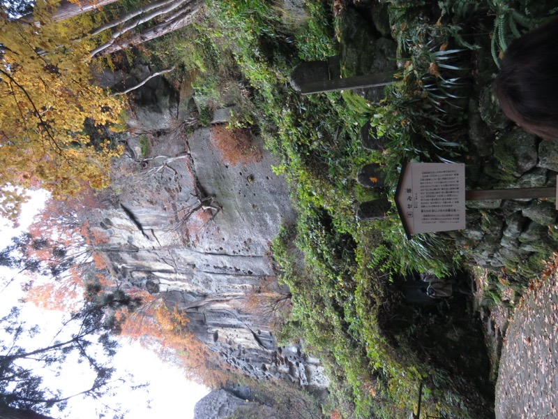 蔵王、面白山紅葉川、山寺