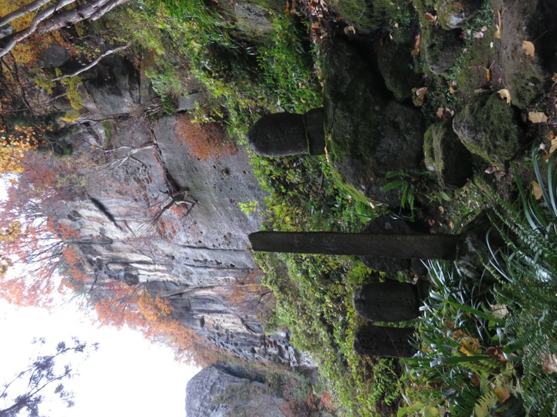 蔵王、面白山紅葉川、山寺