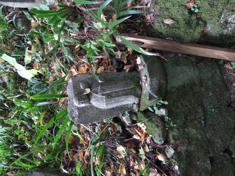 蔵王、面白山紅葉川、山寺