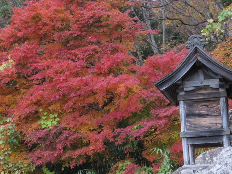 蔵王、面白山紅葉川、山寺