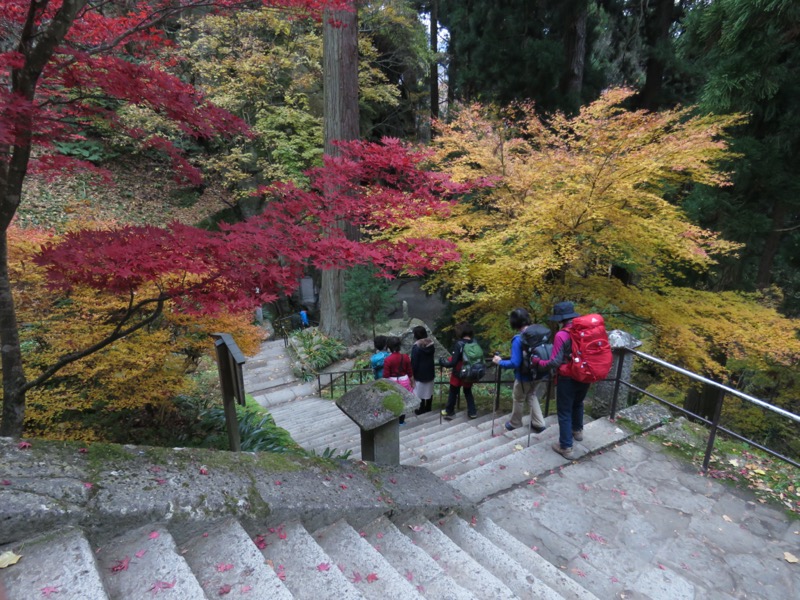 蔵王、面白山紅葉川、山寺