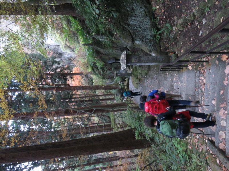 蔵王、面白山紅葉川、山寺