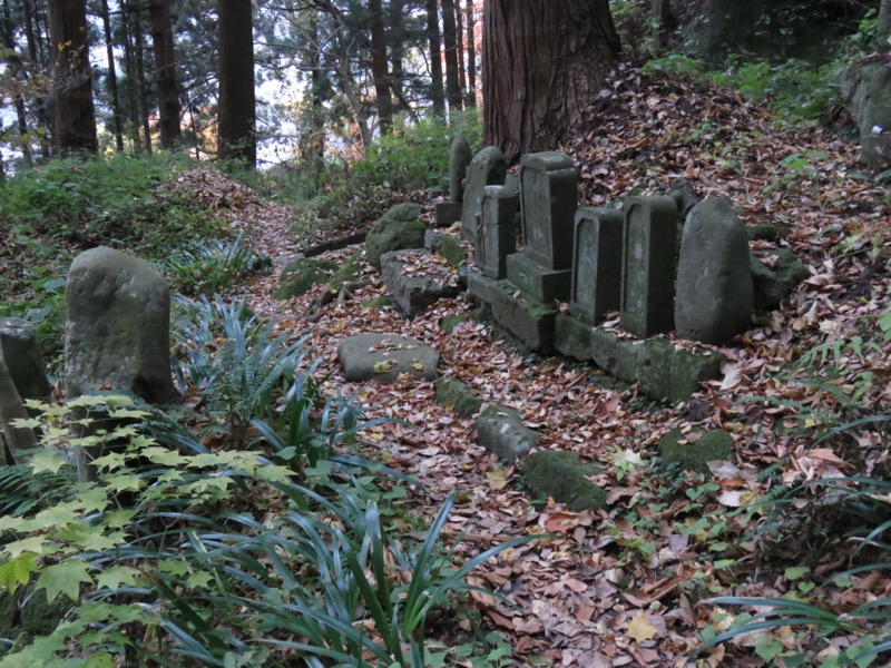 蔵王、面白山紅葉川、山寺