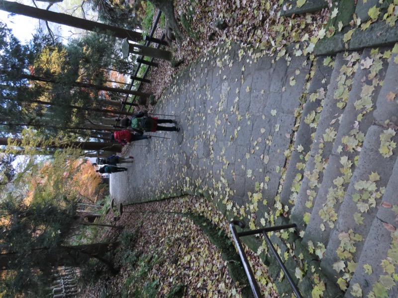 蔵王、面白山紅葉川、山寺