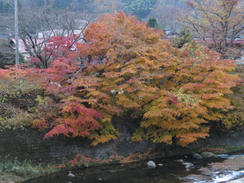 蔵王、面白山紅葉川、山寺