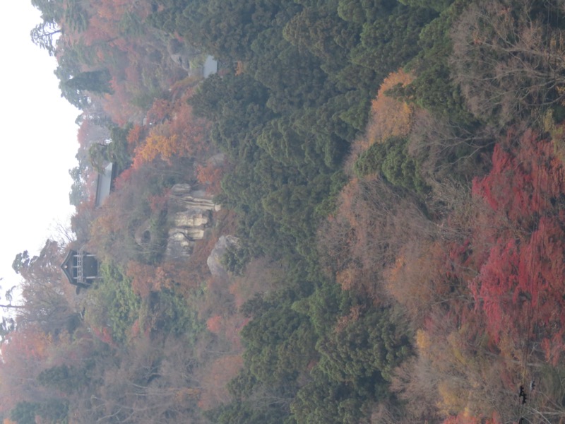 蔵王、面白山紅葉川、山寺