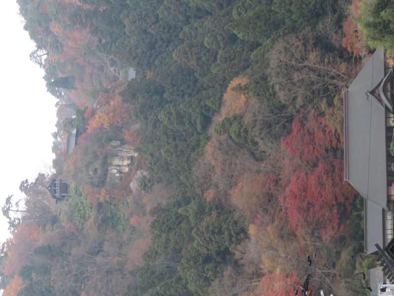 蔵王、面白山紅葉川、山寺