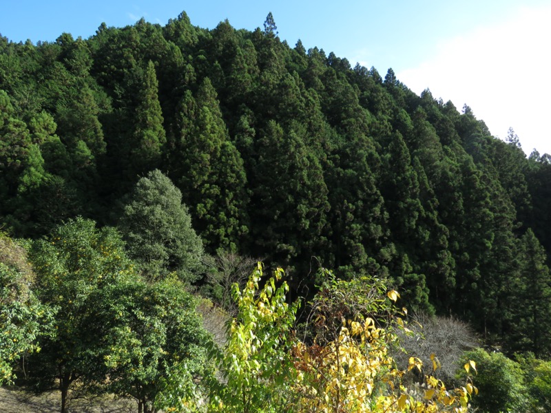 高水三山