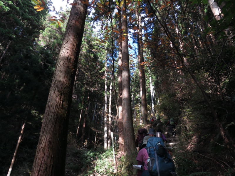 高水三山