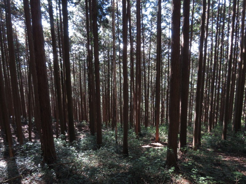 高水三山