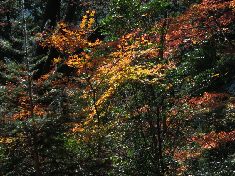 高水三山